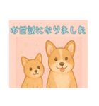 仲良しワンコのお世話になりました専用（個別スタンプ：2）