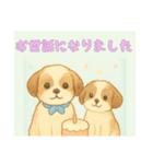 仲良しワンコのお世話になりました専用（個別スタンプ：11）