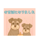 仲良しワンコのお世話になりました専用（個別スタンプ：14）