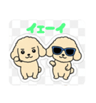 まるまるのわんこ（個別スタンプ：12）