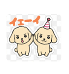 まるまるのわんこ（個別スタンプ：13）