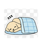 まるまるのわんこ（個別スタンプ：19）