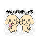 まるまるのわんこ（個別スタンプ：40）