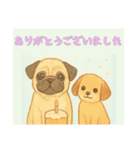 仲良しワンコのありがとうございました専用（個別スタンプ：13）
