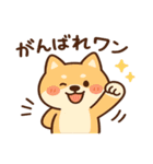犬の日かわいい犬スタンプ｜柴犬わんこ（個別スタンプ：4）