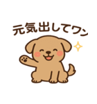 犬の日かわいい犬スタンプ｜柴犬わんこ（個別スタンプ：5）