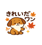 犬の日かわいい犬スタンプ｜柴犬わんこ（個別スタンプ：10）