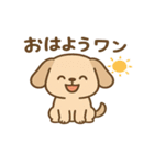 犬の日かわいい犬スタンプ｜柴犬わんこ（個別スタンプ：13）