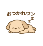 犬の日かわいい犬スタンプ｜柴犬わんこ（個別スタンプ：16）