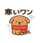 犬の日かわいい犬スタンプ｜柴犬わんこ（個別スタンプ：19）