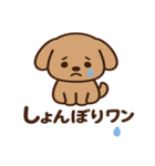 犬の日かわいい犬スタンプ｜柴犬わんこ（個別スタンプ：20）