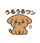 犬の日かわいい犬スタンプ｜柴犬わんこ（個別スタンプ：23）