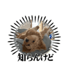 ティッシュ2025（個別スタンプ：11）