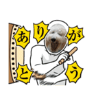 ティッシュ2025（個別スタンプ：15）