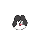 うさぎ田のスタンプ7▼（個別スタンプ：31）