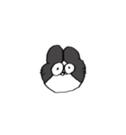 うさぎ田のスタンプ7▼（個別スタンプ：34）