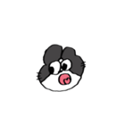 うさぎ田のスタンプ7▼（個別スタンプ：38）