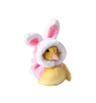 アヒルの赤ちゃん（個別スタンプ：40）