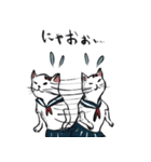 志保ちゃん4(無理矢理二足歩行猫)（個別スタンプ：15）
