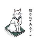 志保ちゃん4(無理矢理二足歩行猫)（個別スタンプ：19）