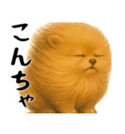 風に立ち向かうポメ(毎日使える便利な返信)（個別スタンプ：1）