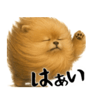 風に立ち向かうポメ(毎日使える便利な返信)（個別スタンプ：7）
