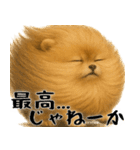 風に立ち向かうポメ(毎日使える便利な返信)（個別スタンプ：8）