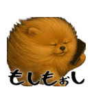 風に立ち向かうポメ(毎日使える便利な返信)（個別スタンプ：11）