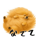 風に立ち向かうポメ(毎日使える便利な返信)（個別スタンプ：18）