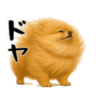 風に立ち向かうポメ(毎日使える便利な返信)（個別スタンプ：19）