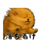 風に立ち向かうポメ(毎日使える便利な返信)（個別スタンプ：35）