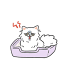 もちたみ3（個別スタンプ：24）