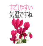 10月 秋の花 大きくて見やすい挨拶スタンプ（個別スタンプ：3）