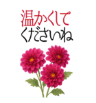 10月 秋の花 大きくて見やすい挨拶スタンプ（個別スタンプ：8）