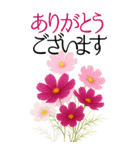 10月 秋の花 大きくて見やすい挨拶スタンプ（個別スタンプ：10）
