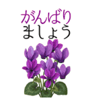 10月 秋の花 大きくて見やすい挨拶スタンプ（個別スタンプ：17）