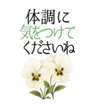 10月 秋の花 大きくて見やすい挨拶スタンプ（個別スタンプ：18）
