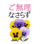 10月 秋の花 大きくて見やすい挨拶スタンプ（個別スタンプ：19）