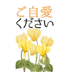 10月 秋の花 大きくて見やすい挨拶スタンプ（個別スタンプ：20）