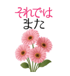 10月 秋の花 大きくて見やすい挨拶スタンプ（個別スタンプ：23）