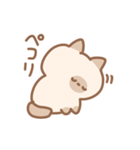 シャム子とサビ子（個別スタンプ：8）