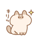 シャム子とサビ子（個別スタンプ：39）