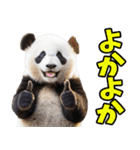 佐賀弁☆パンダ（個別スタンプ：2）