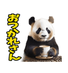 佐賀弁☆パンダ（個別スタンプ：20）