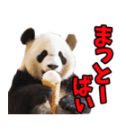 佐賀弁☆パンダ（個別スタンプ：25）