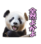 佐賀弁☆パンダ（個別スタンプ：29）