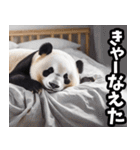 佐賀弁☆パンダ（個別スタンプ：33）