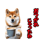 山口弁☆柴犬（個別スタンプ：17）
