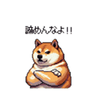 熱血系の太っちょ柴犬（個別スタンプ：2）