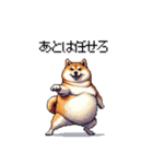 熱血系の太っちょ柴犬（個別スタンプ：3）